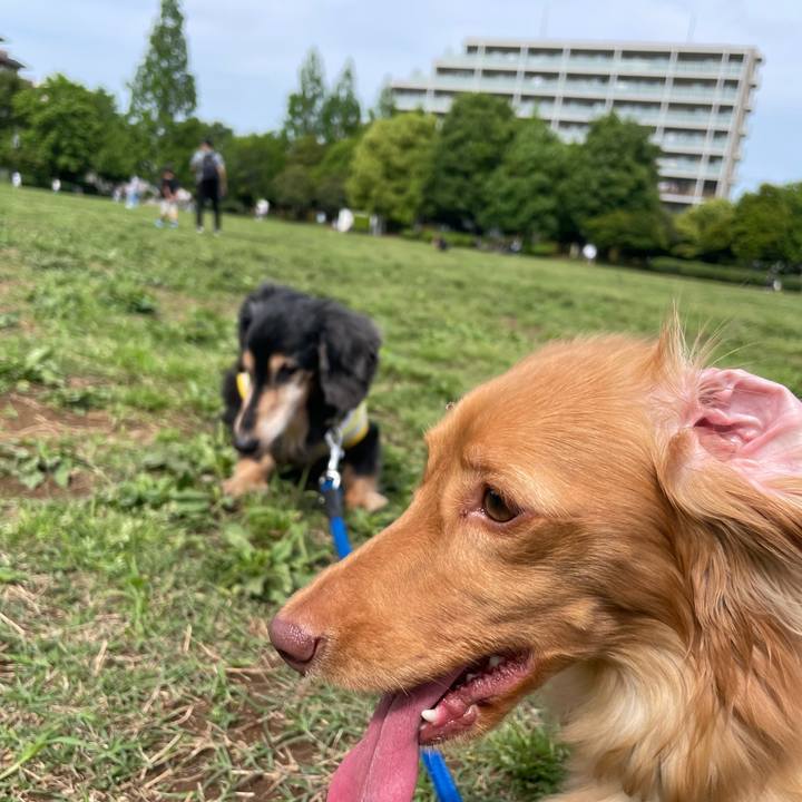 A96be107 5e2a 4bf4 8940 fb53f82a1e56 1746950856025