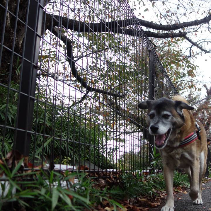 A96c16cc e047 4600 bb28 e71f5fa5d802 1541973845590