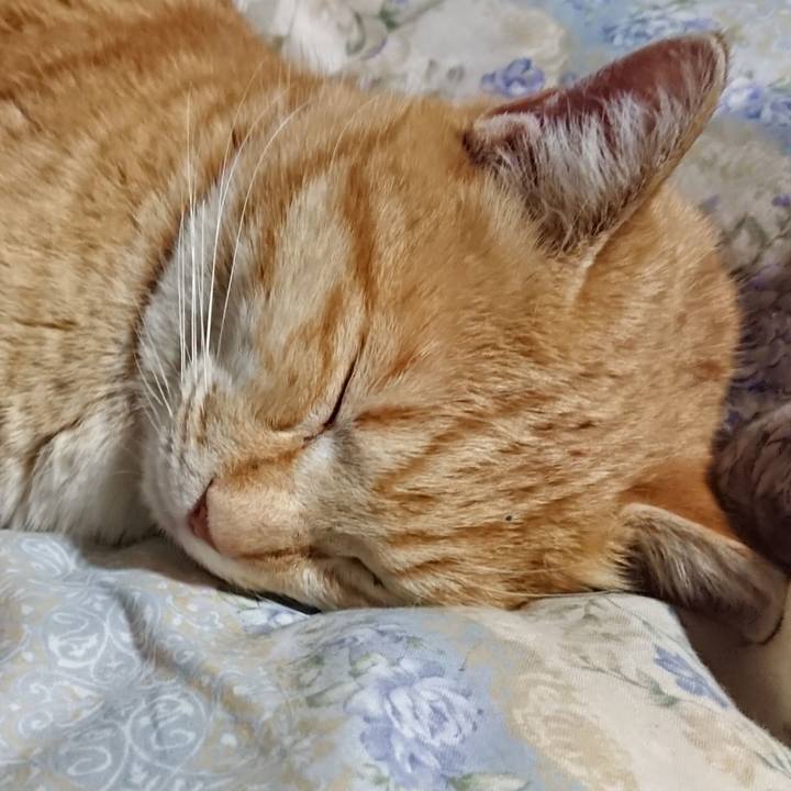 A96c1c1b 48a7 4349 94d5 a6fe87ec48a2 1582722265653