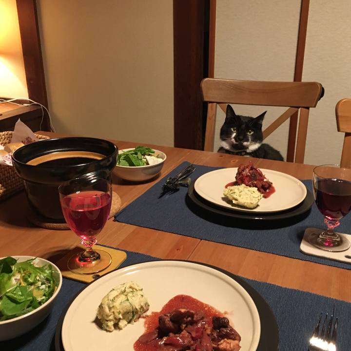 A96c4850 e571 4c09 9b72 ab82f85dcb8a 1512215609343