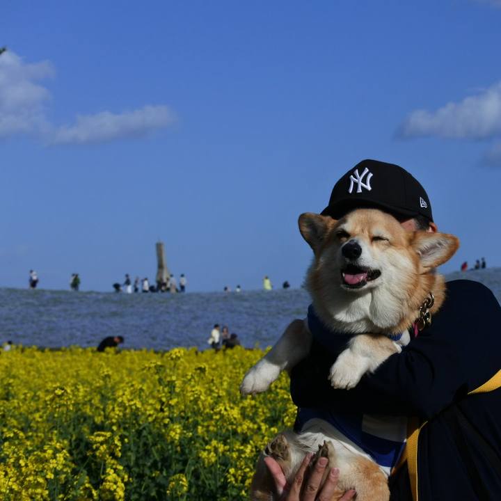 A96cec07 7221 4069 921e af65c3d1fe5e 1713786943383