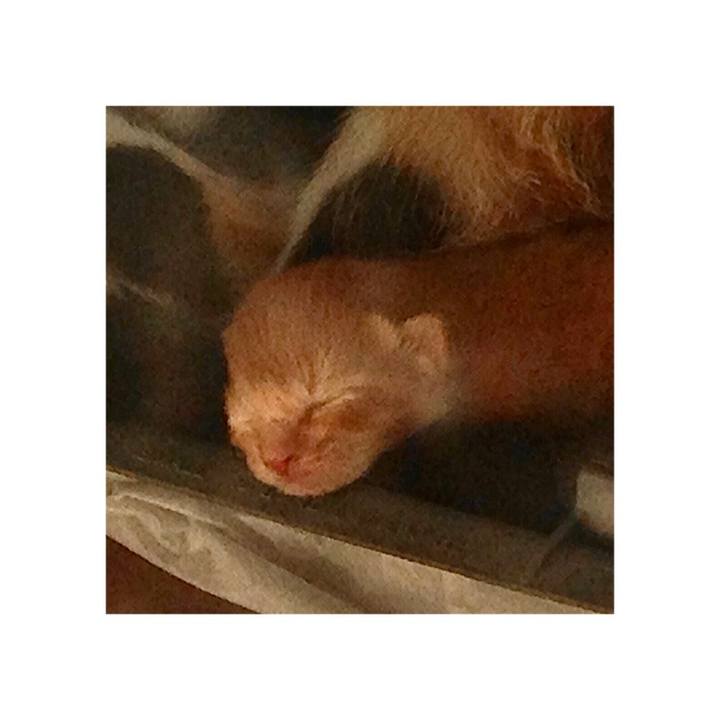 A96cfaf9 d085 40e6 a7d1 d21b732112fc 1643175754750