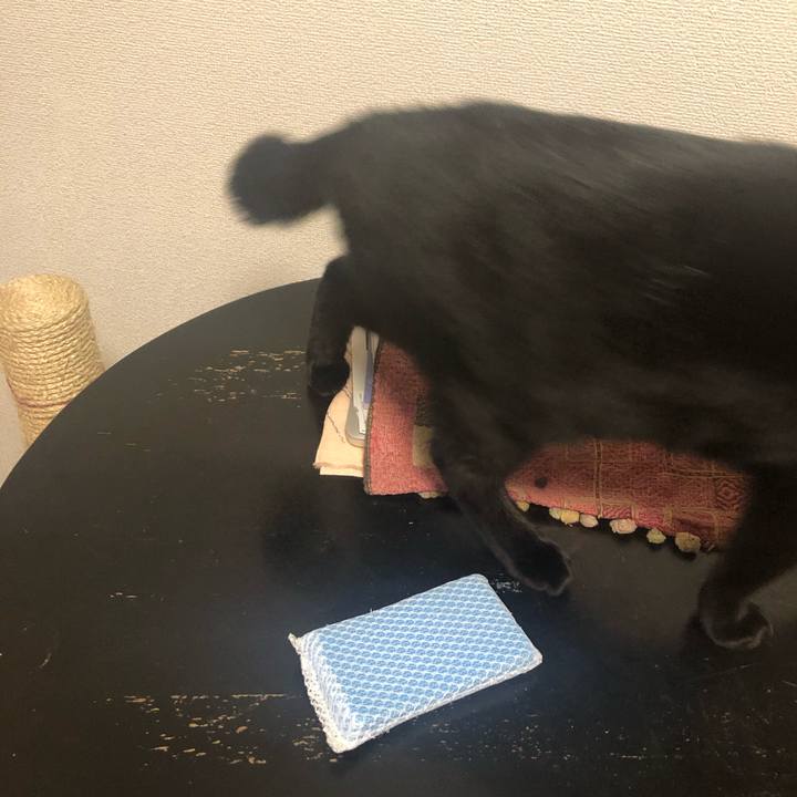 A96d0ddd 78a7 4c2e 842b 65018aa32ab1 1548912045585