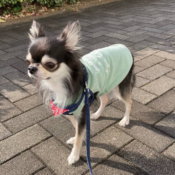 A96d5e7f 998f 4c9d a95c e19830231816 1668263579250