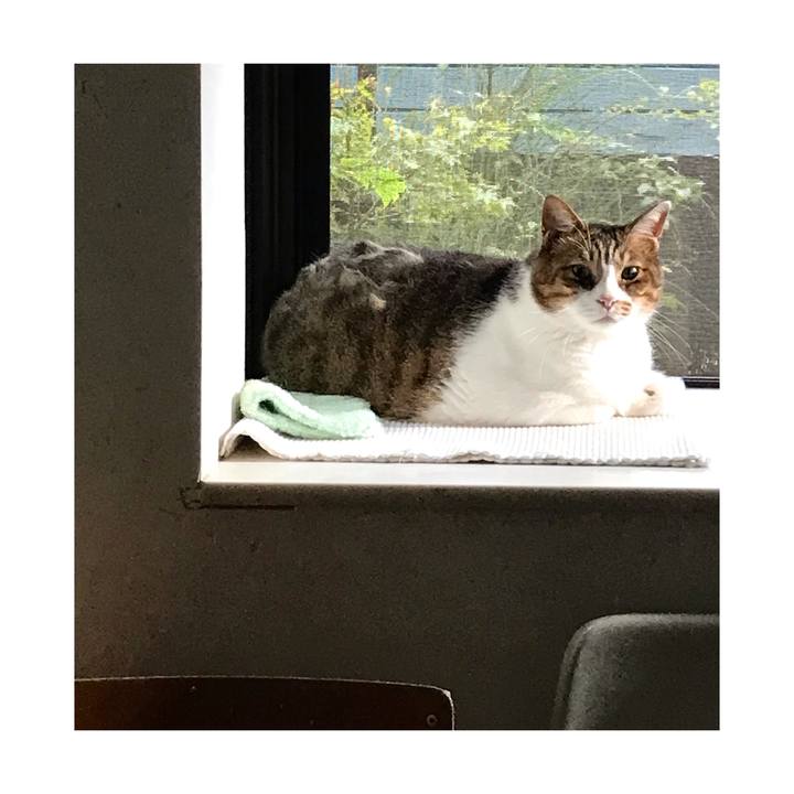 A96d5f66 a7ec 4567 841e 61350607eded 1662773566155