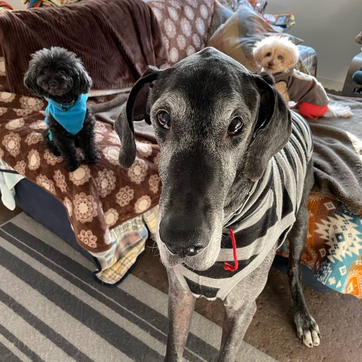 A96d80a6 c7bf 45de 807a 0cc95e7d02bf 1645656547824