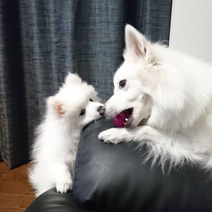 A96d8125 474c 4ebf adc2 11ce110cf9dd 1547038376599