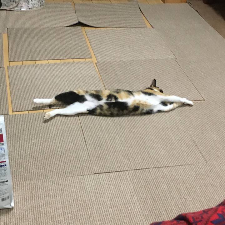 A96d830f 468b 48b6 bea2 93574485fcbe 1516189277763