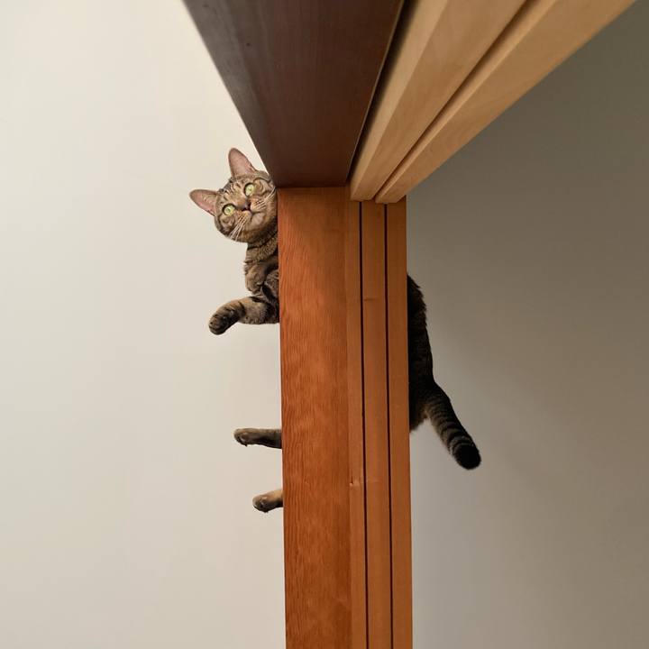 A96d8c3f 7c75 48e8 9871 6de850876cd0 1725713547091