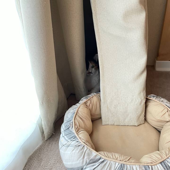 A96d992e 2db8 4024 a7ce 9047e0715587 1623580132381