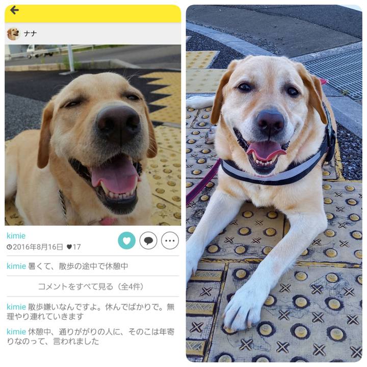 A96db6bf 17e7 40b1 9148 9f72a4e4af97 1597543135382