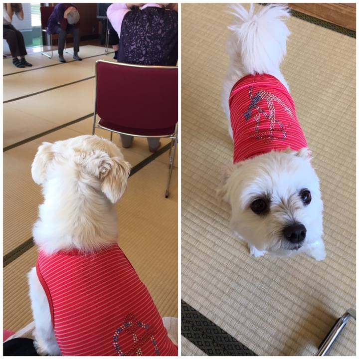 A96dd0eb 03d5 460f ad61 aa1fc9d3ebb3 1558700331713