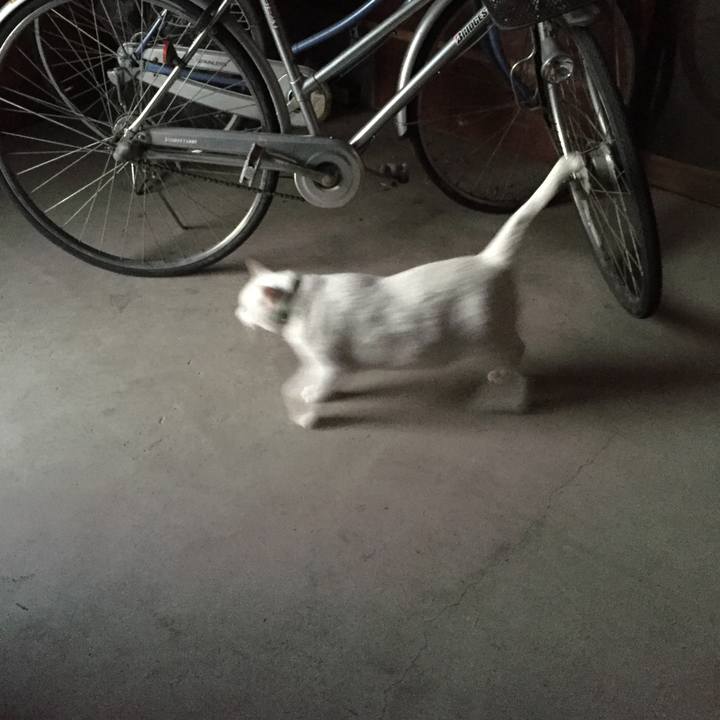 A96ddbbb c569 4dc0 b13d c0479b66313f 1551484903685