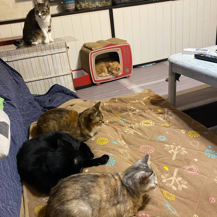 A96df067 245c 467c 848e da5f38a841ac 1634762491370