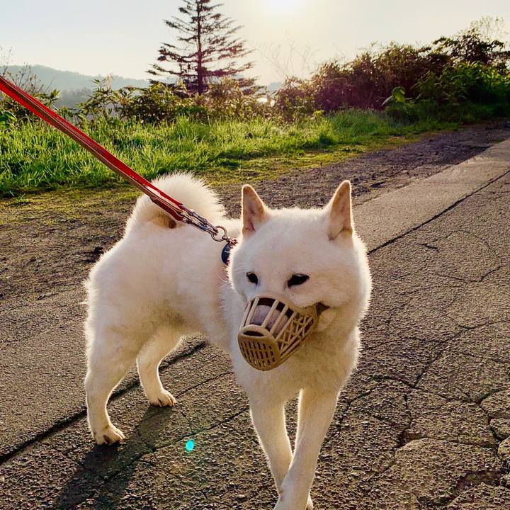 A96e06d9 279e 4bbe bae8 c09bde210fc0 1590009041585