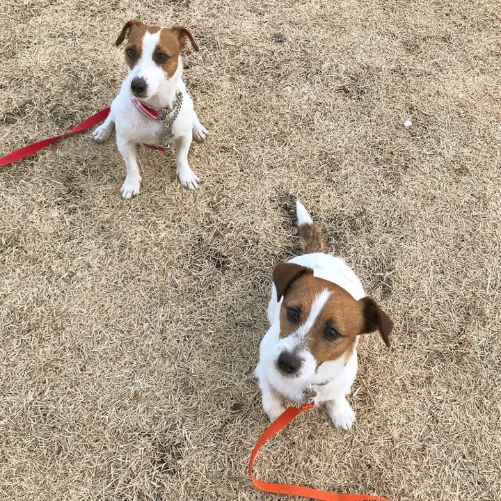 A96e2ced 6776 41b8 8d54 9612e74031c1 1517232027695