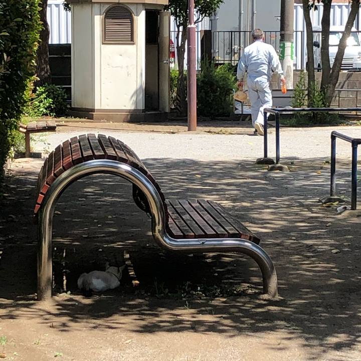 A96e510b 9738 4918 9695 b4ba66d3bd3f 1599978344432