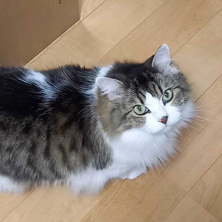 A96eb524 a7bb 478e 8da2 94f2ea20e762 1695683082284