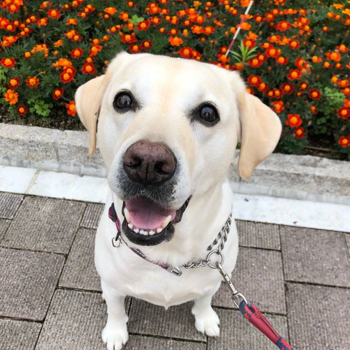 A96eb659 92a8 48a5 839f 21626612e3b5 1655386345520