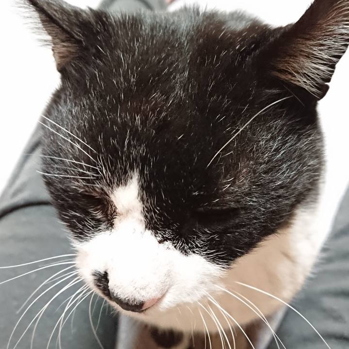 A96eb7d3 5123 4927 85ac faf8e31cc84a 1643698019904