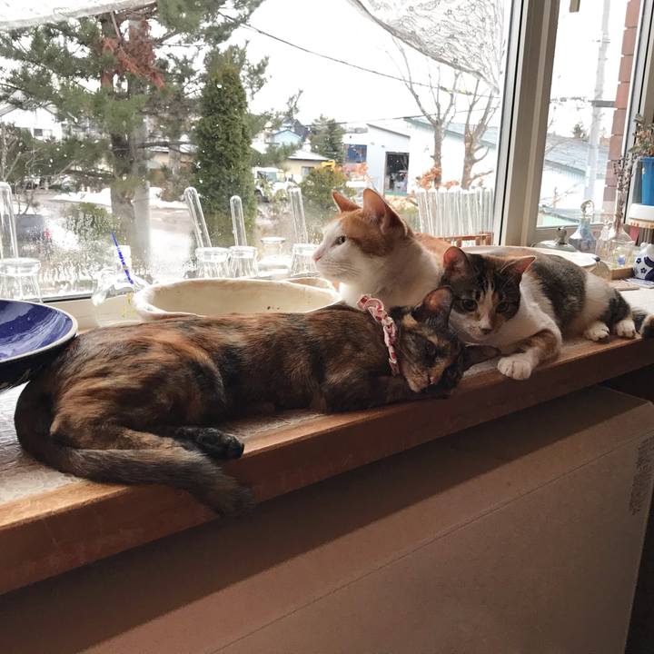 A96ef3ae 24de 442f a60b 4de2a71a0db2 1616363010807