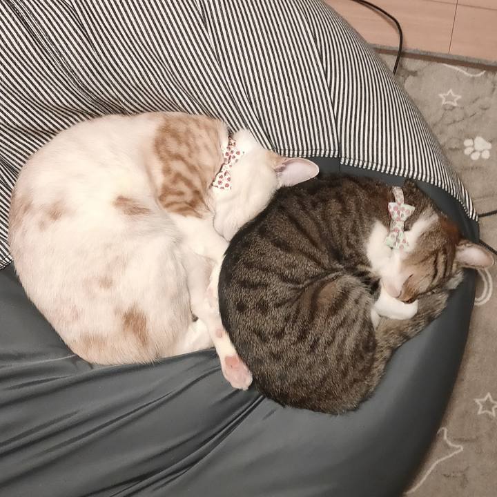 A96f5569 28f2 460f a46b 52e47b57a5b9 1676537354243