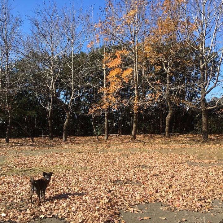 A96f7edb d414 4ae9 ac47 cddc52fdf9c5 1514637063489