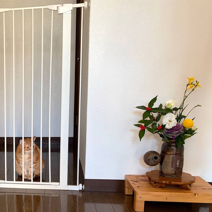 A96f8dac 0404 4396 ba26 7aea7da27dfb 1767430341699