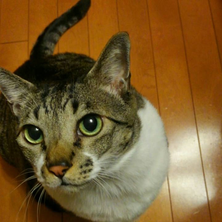 A96fcae6 411b 4879 9478 7c35310e907a 1510305870683