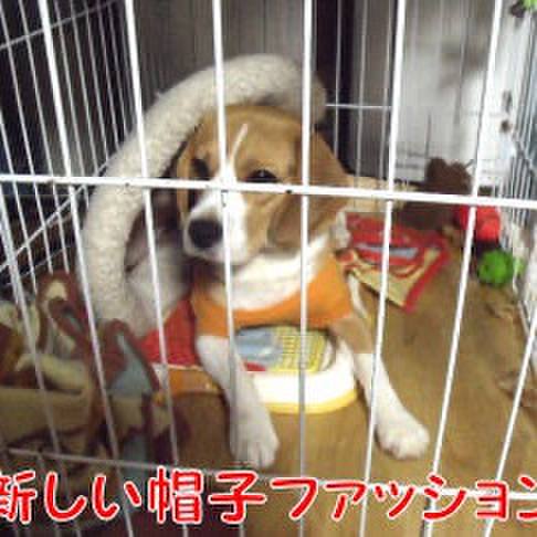 A96fdf00 ff16 4094 857a fd896ffa8c5b 1714174938174