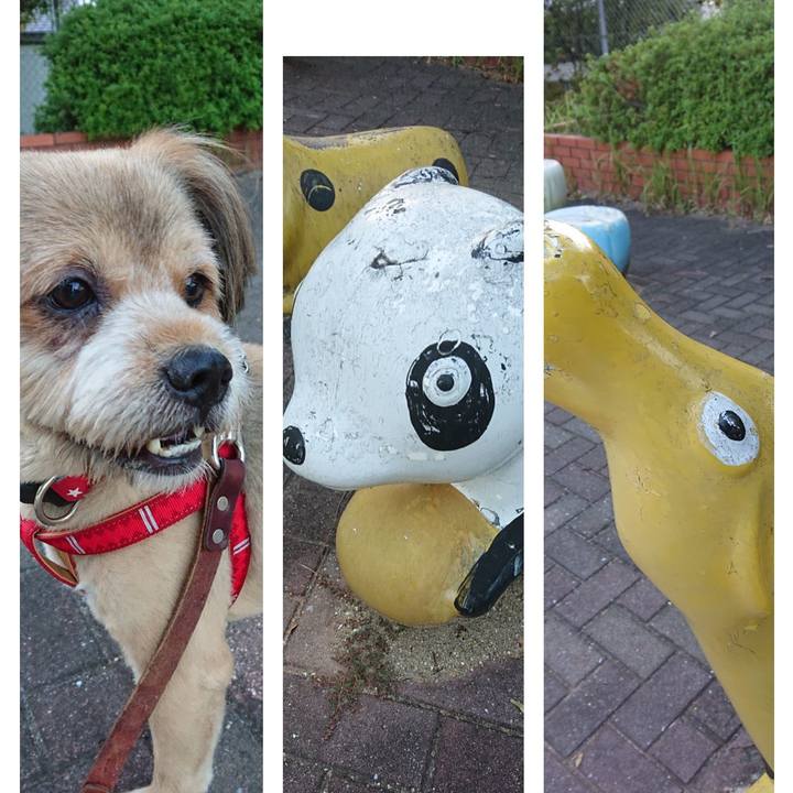 A96fecd7 fc52 46c1 96dd 49b944706bf7 1569320309513