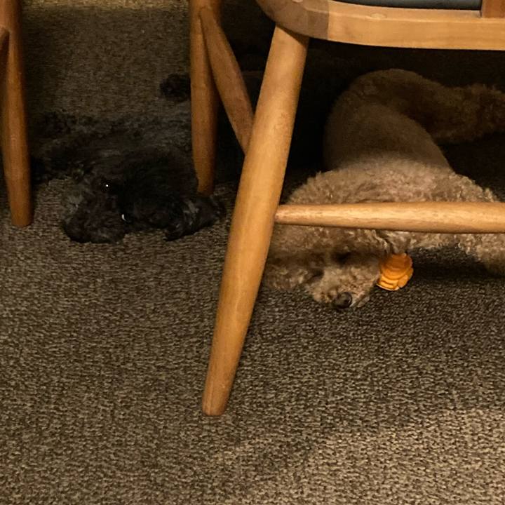 A9700b2e 6c2b 4511 b265 6b2432489aac 1626706027945