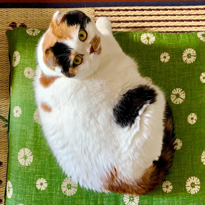 A9700e0c f47b 4cd7 a2f1 792d2185dbce 1567408706991