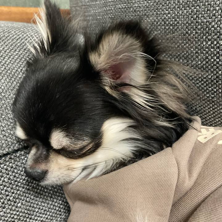 A97022d4 caef 4403 9e22 f31501ed215e 1607253127660