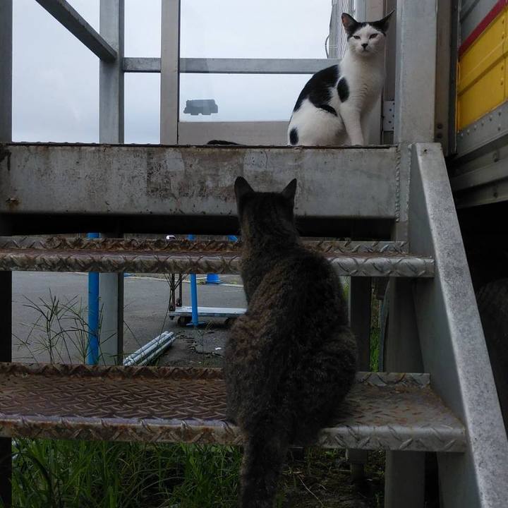 A9703767 b605 4724 94ea 033d7d462b7d 1598919770674