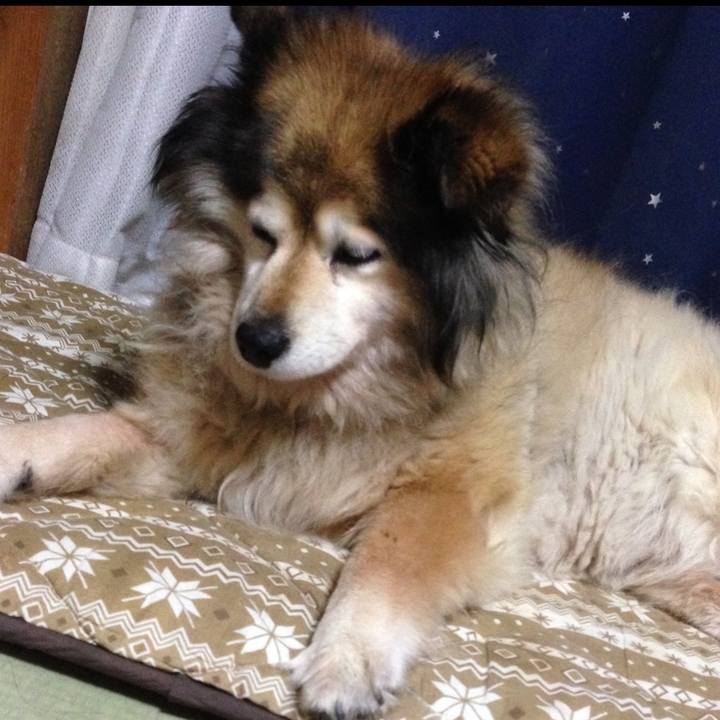 A9704697 3fca 433e a662 781eb7b60416 1638866194506