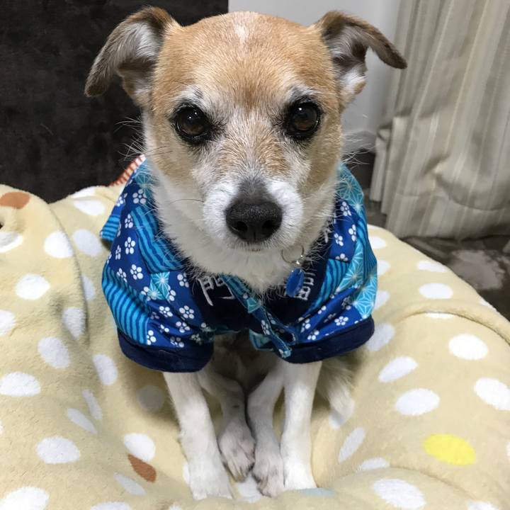 A9706442 9d3a 4da3 a627 33213e79f961 1612778428294