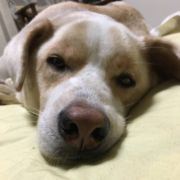 A9708c1f 4438 4c2e a35b 3fcaec9ca600 1536152594928