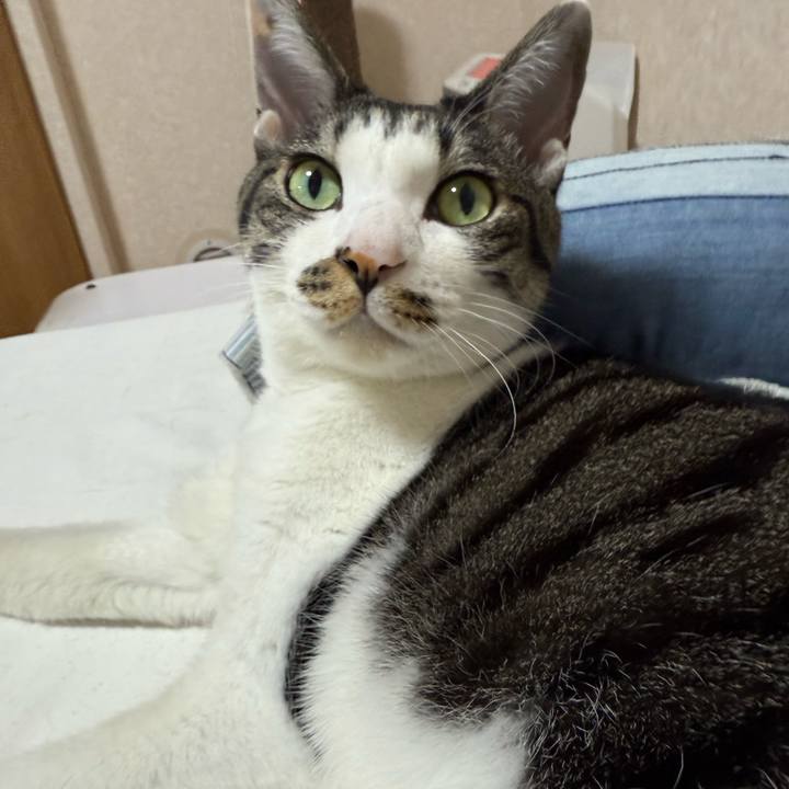 A970b8c0 a409 4f6e bc96 204a564a53fd 1759231009056