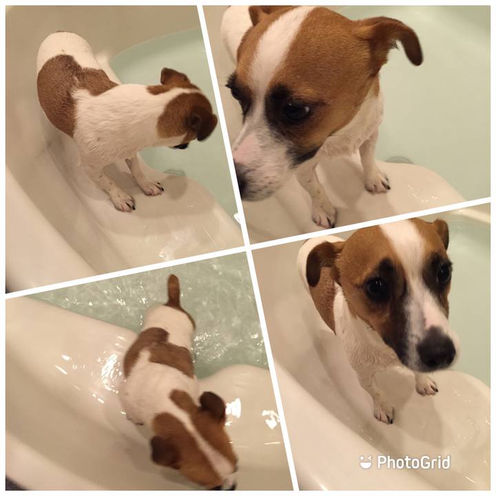 A970f31e 466c 4293 9a69 81d52c27bbd8 1666621761059