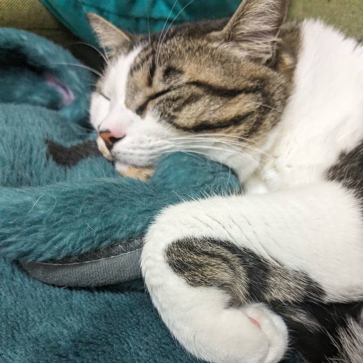 A9712d59 96c7 4ef4 8496 4f64e7ec38bc 1709279374347