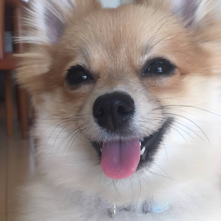 A97144d5 75e8 44d5 816c 9e7c2eb7c399 1515207208511