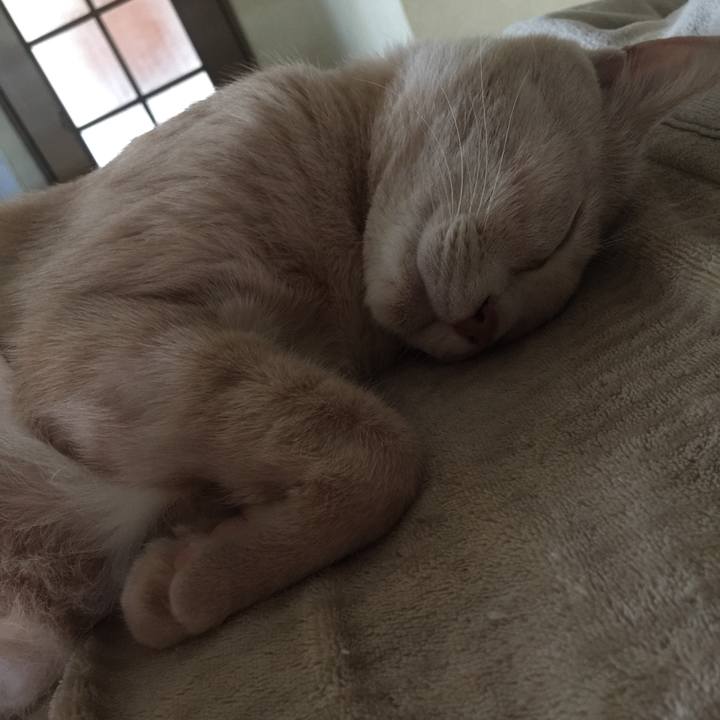 A9715004 1bdb 44ad 9c41 b71834b4751a 1595544855268