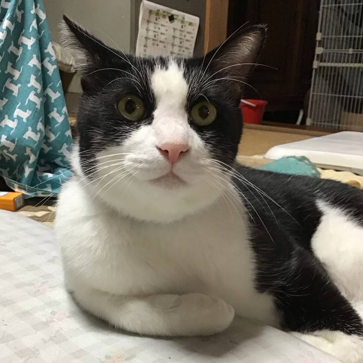 A9715056 567d 43a3 bddd 33264fcbdaec 1760948939889