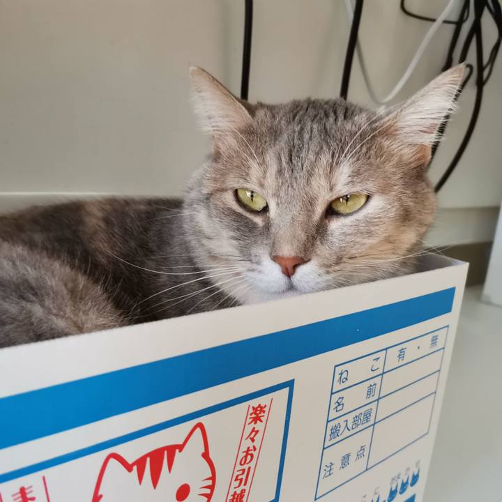 A9716144 b10a 44e1 9f72 3e28635ae00b 1599537554104