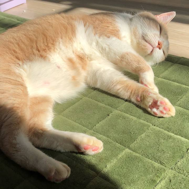 A9717007 6d20 406b a6ab 164098d480f9 1528947280030