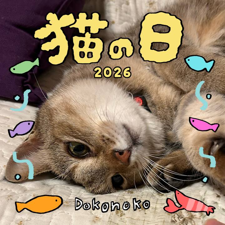 A971962c 2ba6 4bbf ae5a 24ab55cd23c6 1771761370731