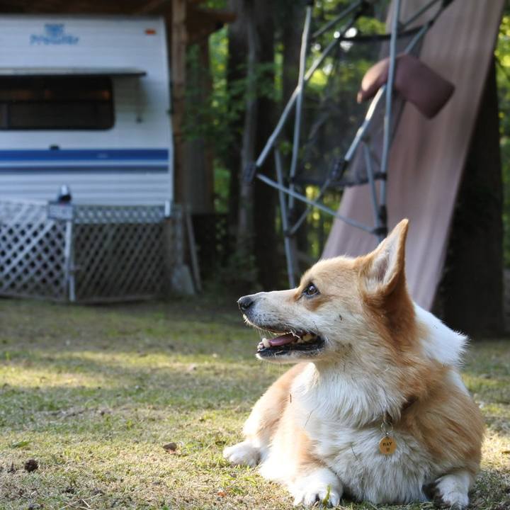 A971b078 b700 4e27 9a71 7c17876290b9 1525155266793