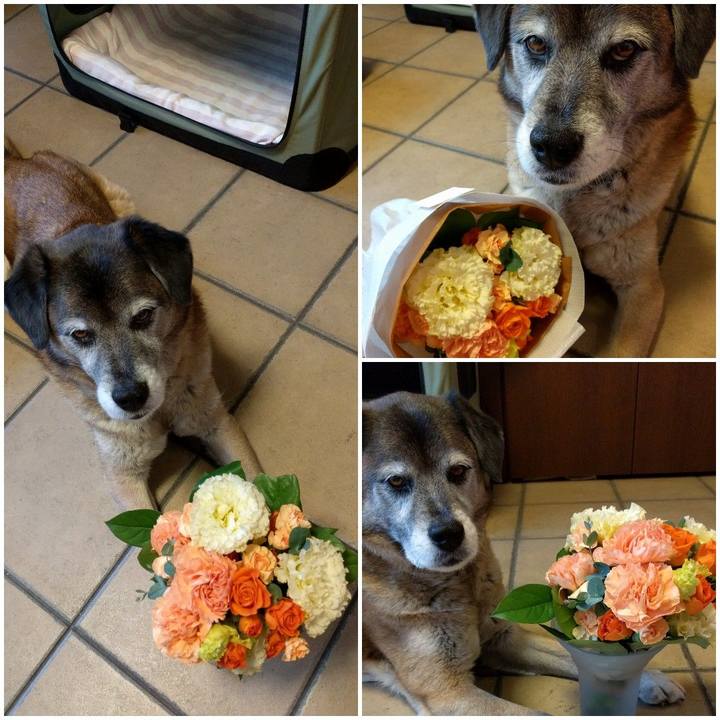 A971b96b 2f2c 4e17 912e 8d18febb6fe3 1555485933294