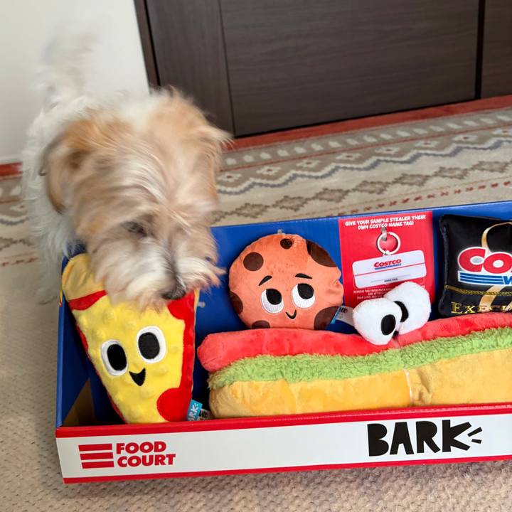 A971ccc6 e944 4423 8340 a79a510ed5dc 1763191489392